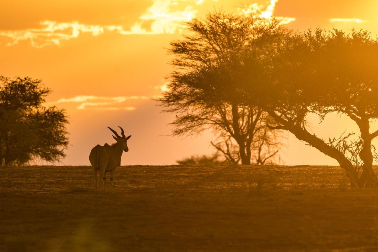 Gondwana Kalahari Anib Lodge Hardap 외부 사진
